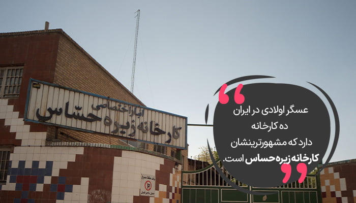 عسکراولادی در ایران ده کارخانه دارد که مشهورترینشان زیره حساس است.