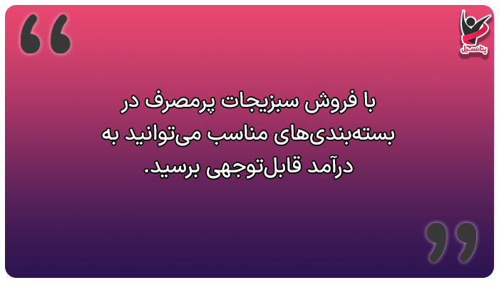 فروش سبزیجات بستهبندیشده، یکی از راه های پول درآوردن