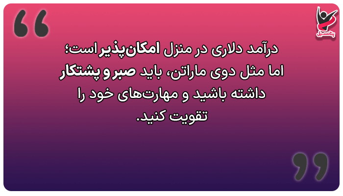 درآمد دلاری در منزل؛ آیا واقعیت دارد