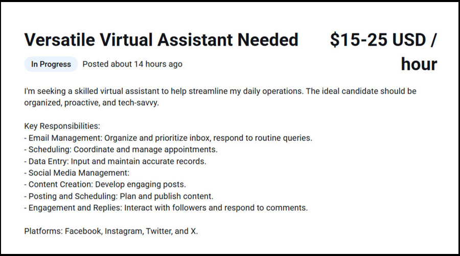 کسب درآمد دلاری با دستیار مجازی (Virtual Assistant)