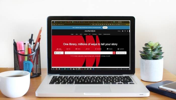 درآمد دلاری از شاتر استوک