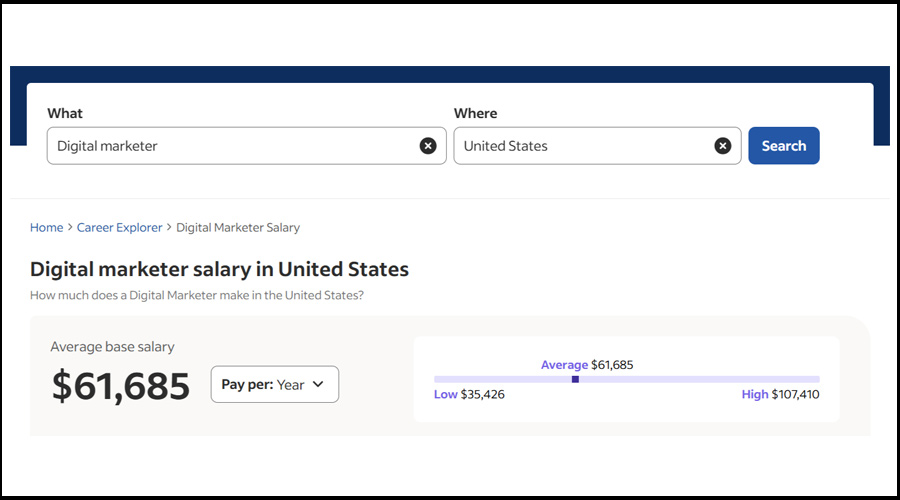 درآمد دلاری از دیجیتال مارکتینگ