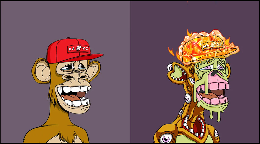 کسب درآمد دلاری از nft با سرمایه گذاری 